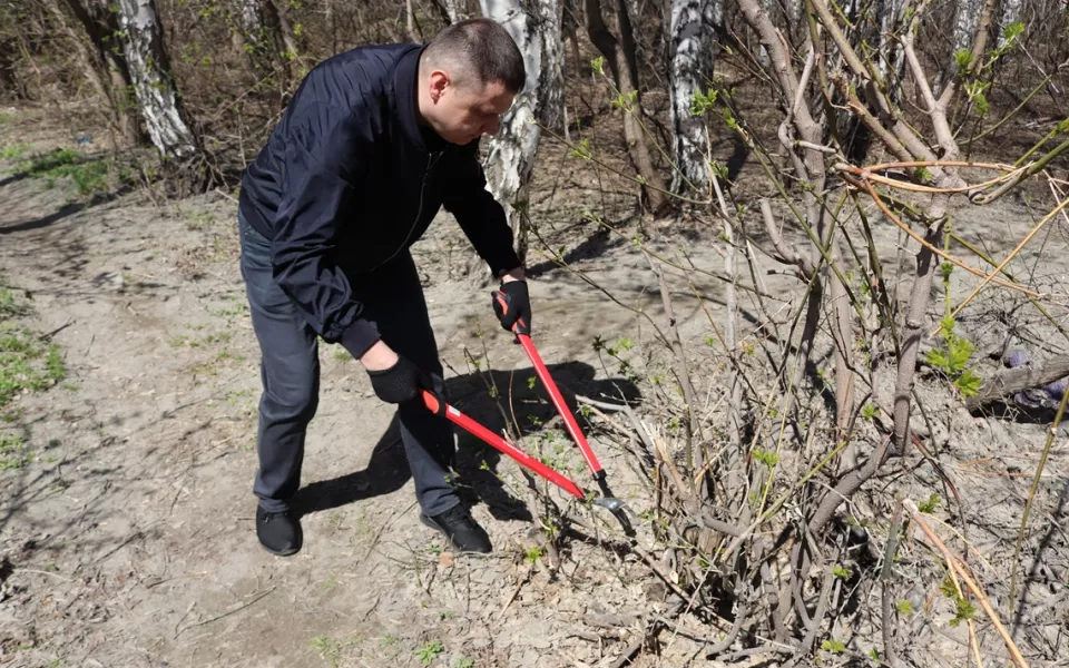 В Барнауле прибрались в роще на Солнечной Поляне, которую благоустроят в 2026 году