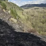 Пожар площадью 25 соток вспыхнул на горном склоне Республики Алтай