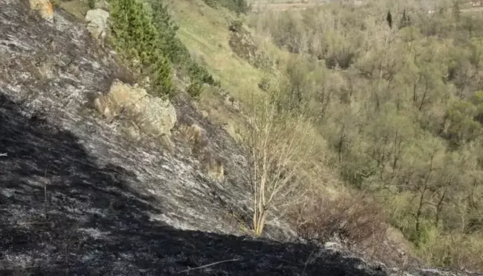 Пожар площадью 25 соток вспыхнул на горном склоне Республики Алтай