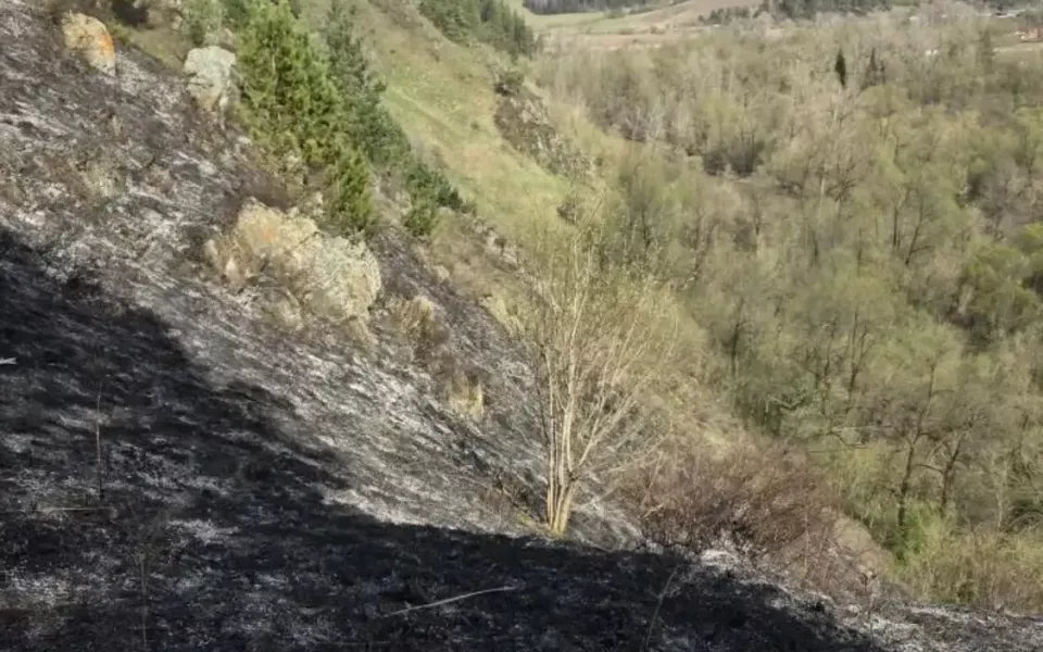 Пожар площадью 25 соток вспыхнул на горном склоне Республики Алтай