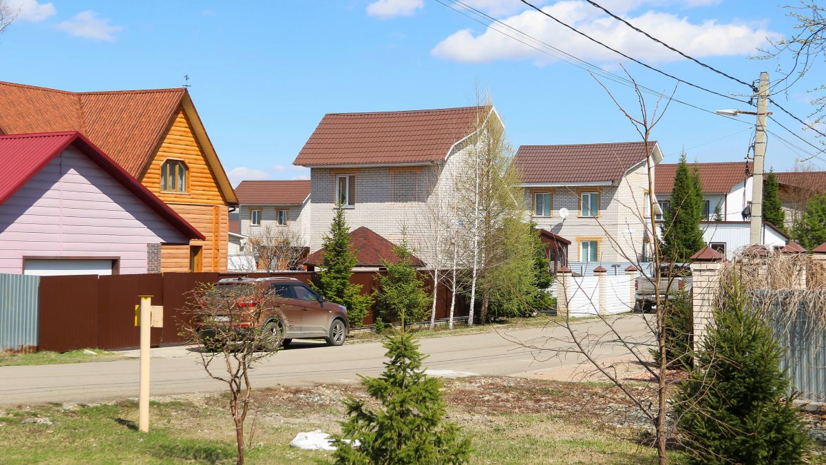 Борзовая Заимка. Апрель 2026 год