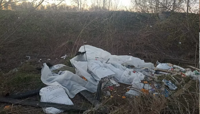 Груды останков коров нашли на территории бывшей воинской части в Алтайском крае