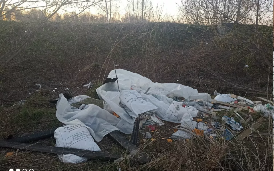 Груды останков коров нашли на территории бывшей воинской части в Алтайском крае