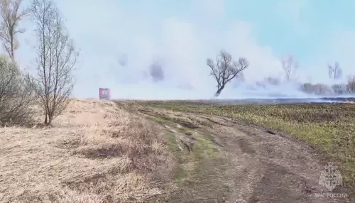 Сухая трава загорелась у поселка Затон на площади около трех гектаров