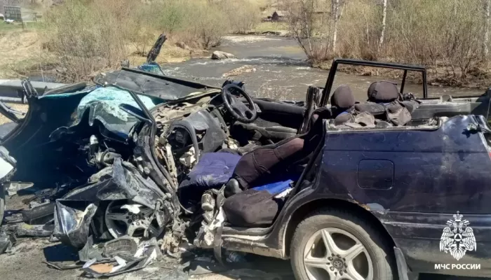 Девять человек пострадали и один погиб в жестком ДТП на трассе в Республике Алтай