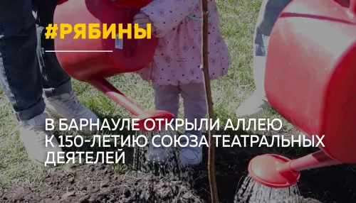 В центре Барнаула высадили аллею театральных деятелей