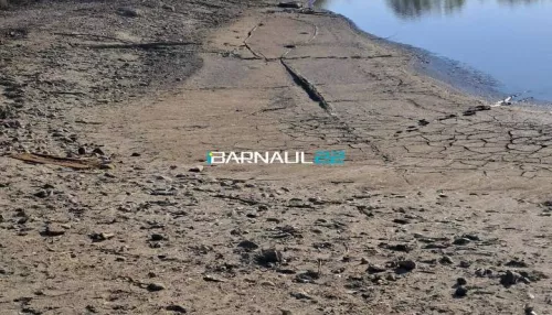 Озеро утекло из-за прорыва трубы в селе Березовка Алтайского края