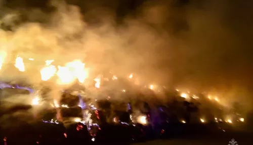 Огромный пожар уничтожил 700 тюков сена в Алтайском крае