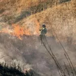 Огонь с полей едва не перекинулся на поселок под Барнаулом