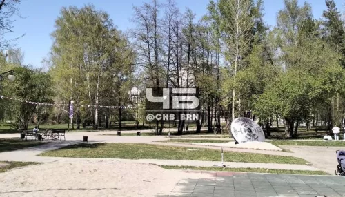 Состояние сквера Химиков возмутило жителей Барнаула