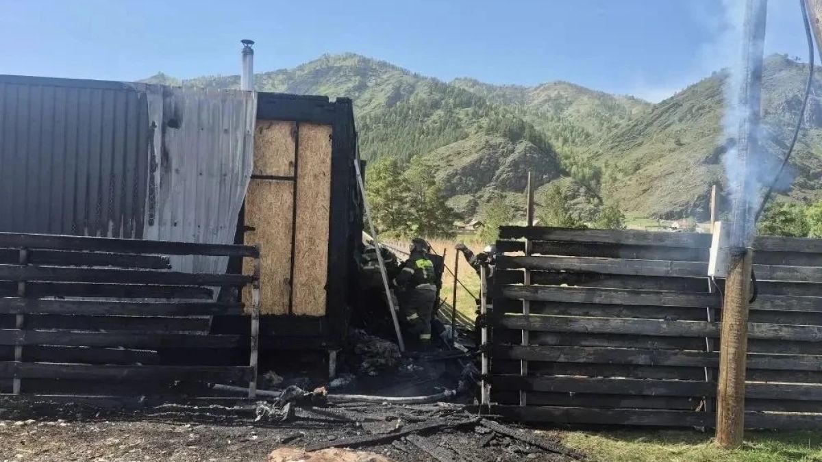 Пожар в Республике Алтай