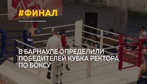 Кубок ректора по боксу разыграли студенты вузов Алтайского края