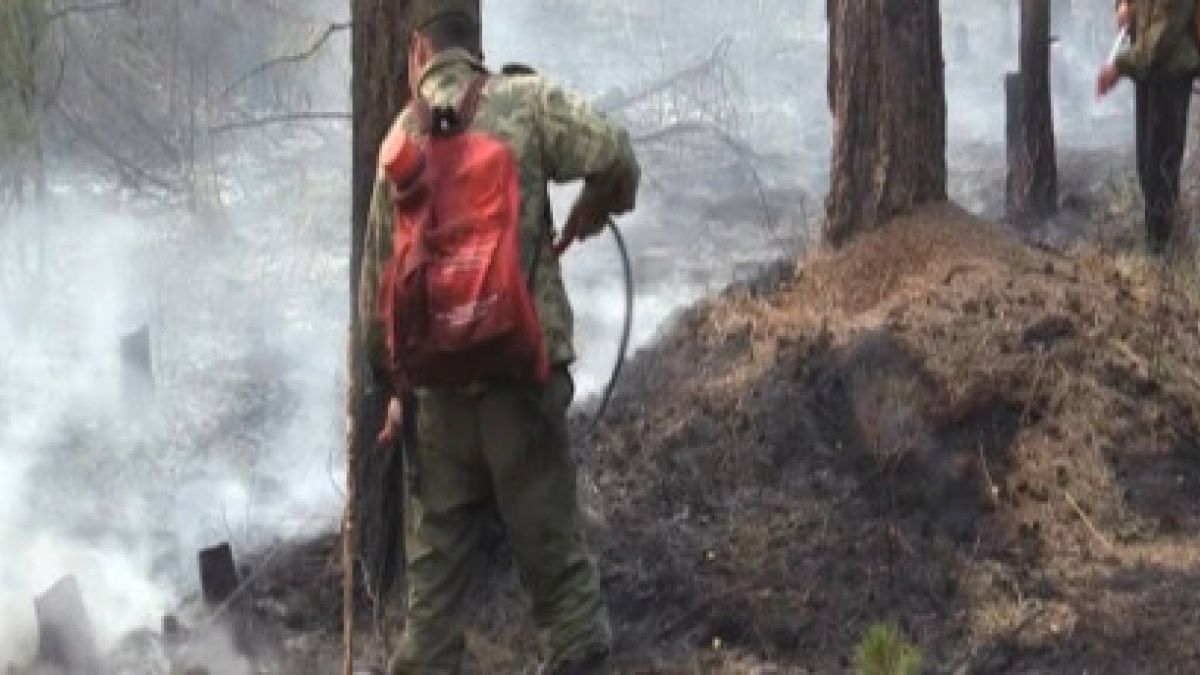 Более 4 тысяч добровольцев вышли на борьбу с пожарами в Иркутской области