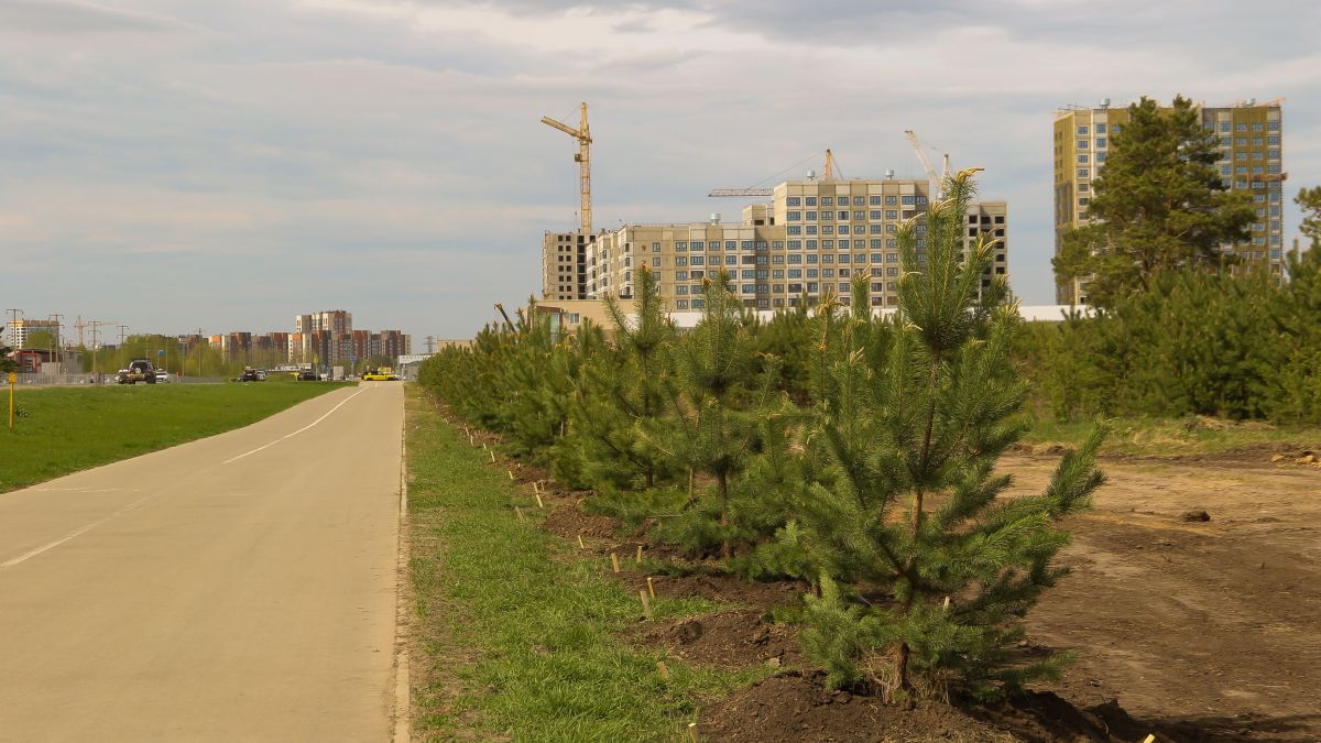 Участок под спорткластер на ул. Власихинской, 204
