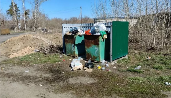 Власти двух округов Алтайского края пожаловались на критическую ситуацию с мусором
