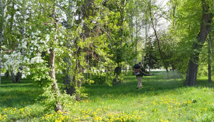 В Бийске начали обработку общественных территорий от клещей