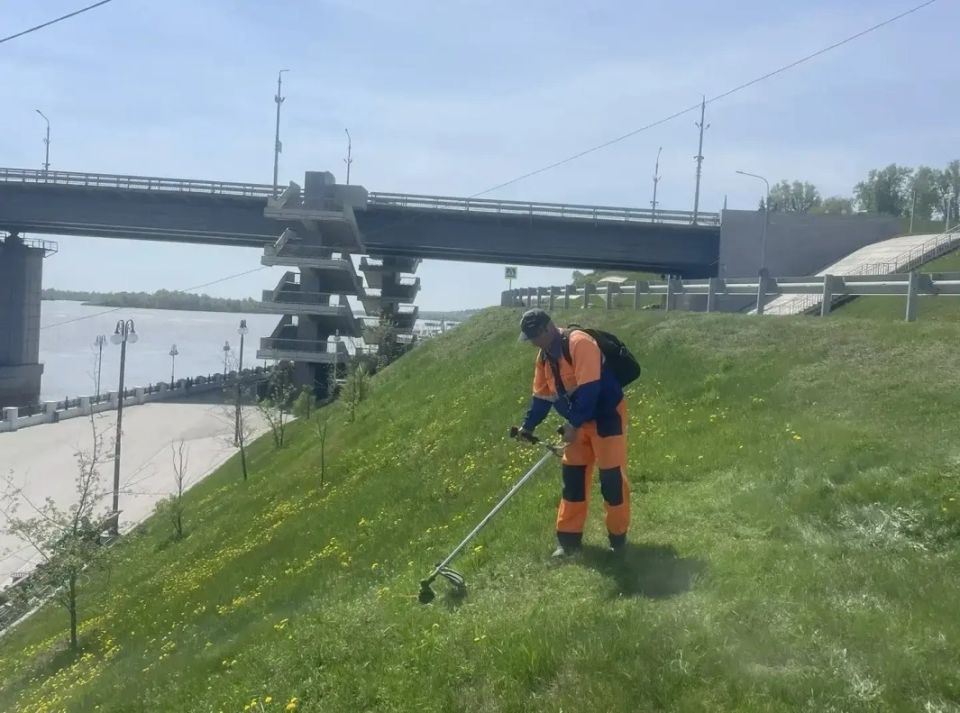 Покос травы вдоль обочин дорог