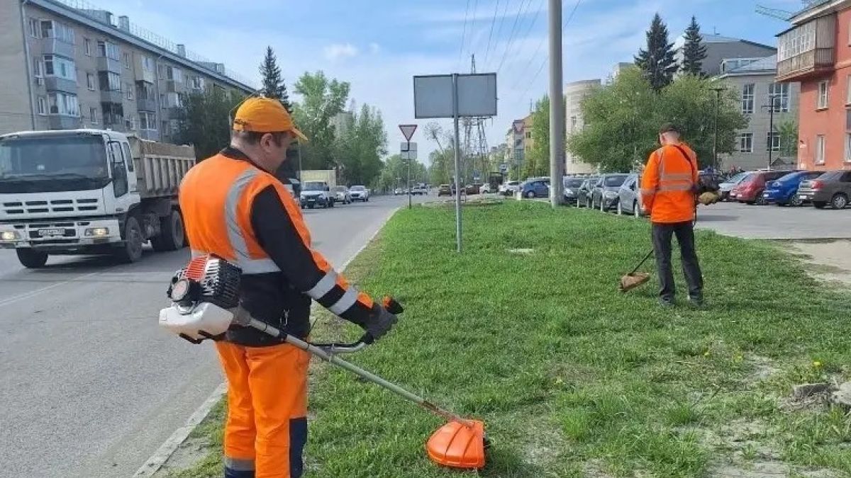 Покос травы вдоль обочин дорог