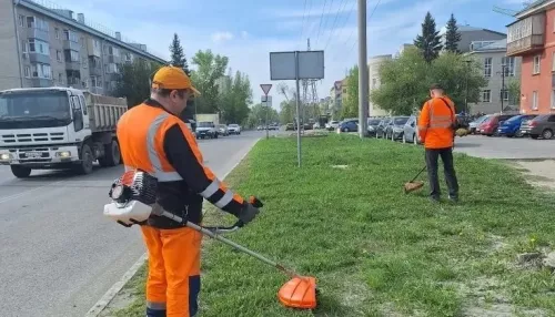 В Барнауле дорожники начали косить траву вдоль обочин дорог