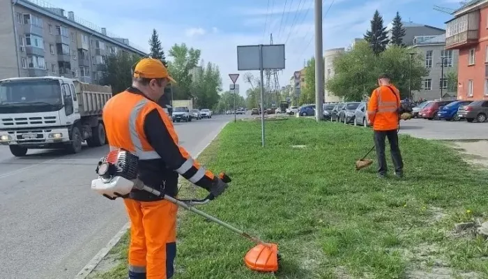 В Барнауле дорожники начали косить траву вдоль обочин дорог