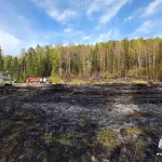 Рядом с селом Артыбаш Республики Алтай вспыхнул ландшафтный пожар площадью 2,2 га