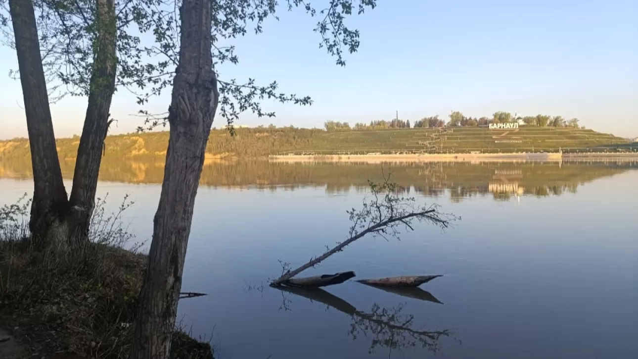 Наловился вдоволь: рыбаки Алтайского края показали свои уловы в мае. Фото