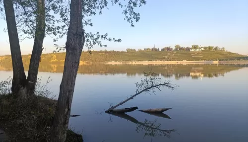 Наловился вдоволь: рыбаки Алтайского края показали свои уловы в мае. Фото