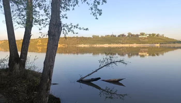 Наловился вдоволь: рыбаки Алтайского края показали свои уловы в мае. Фото