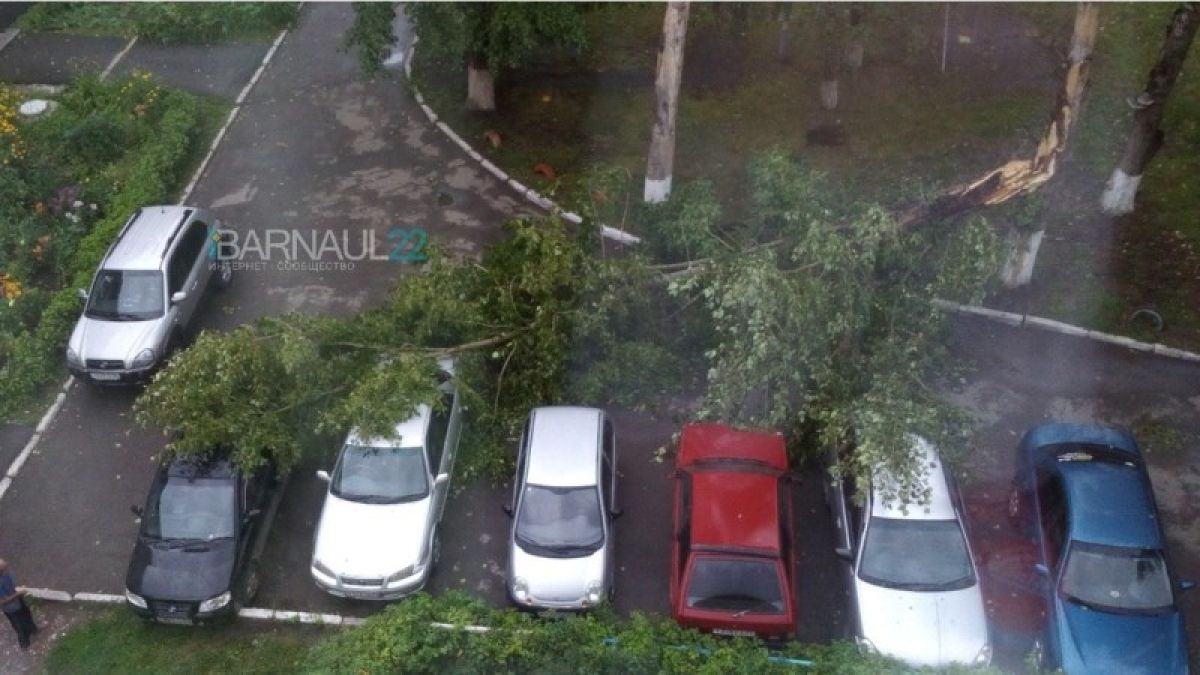 Несколько деревьев упало на машины после ночной грозы в Барнауле