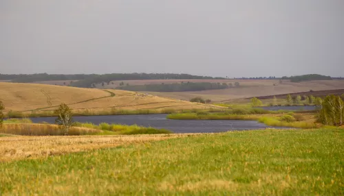 На краю ленточного бора: как живет и чем гордится село Зимари. Фоторепортаж