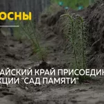 В Алтайском крае высадили тысячи деревьев в память о героях войны