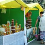 Как жители края выбирают мед после массовой травли пчел и за какую цену?