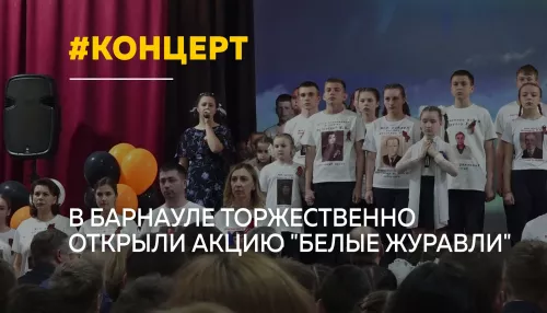 В Барнауле стартовала акция Белые журавли в память о героях войны