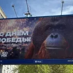 Баннер с орангутаном к 9 Мая в Новосибирске заинтересовал прокуратуру и Роскомнадзор