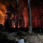 Мощный лесной пожар в зоне отчуждения ЧАЭС не могут потушить уже третий день. Фото