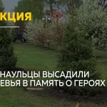 В Барнауле прошла международная акция Сад памяти