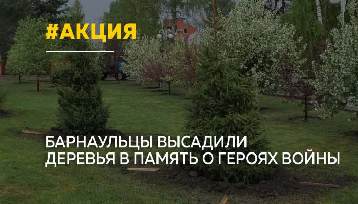 В Барнауле прошла международная акция Сад памяти