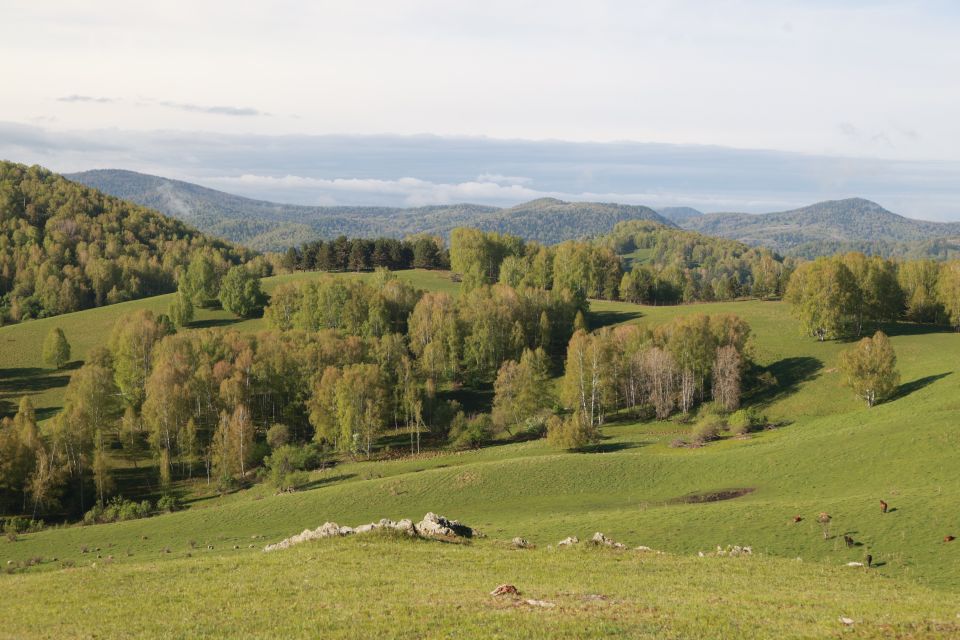 Маральник "Солонешье"

