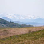 Дивная красота Солонешья: как выглядит край изумрудных холмов и увалов Алтая. Фото