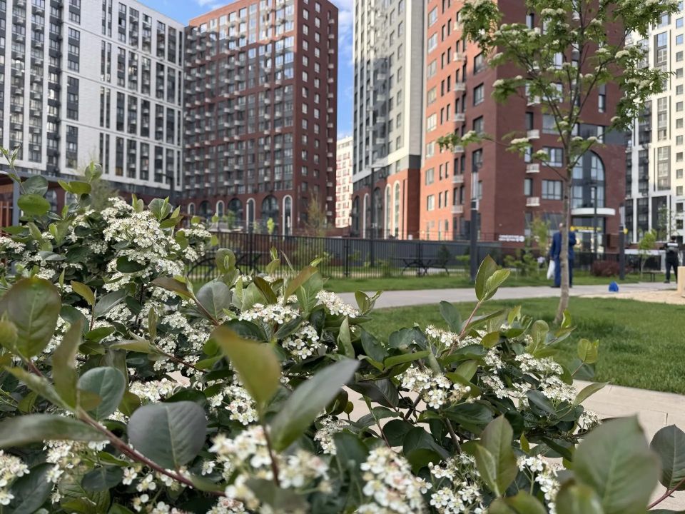 Московская недвижимость