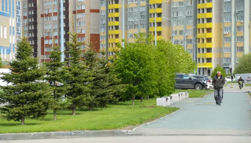 Куда кривая вывезет. В Барнауле затоварен рынок аренды жилья, но цены все еще высокие