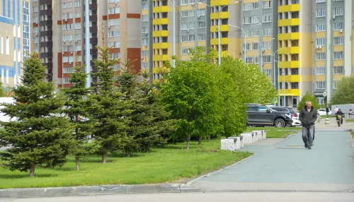 Куда кривая вывезет. В Барнауле затоварен рынок аренды жилья, но цены все еще высокие