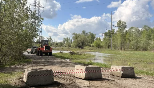 Обь поднялась: в барнаульском Затоне закрыли дорогу на остров Шубинский