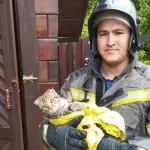 Пожарные в Республике Алтай полезли в выгребную из-за кошки
