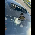 Неизвестный предмет вылетел с фуры и разбил автомобиль на трассе под Барнаулом