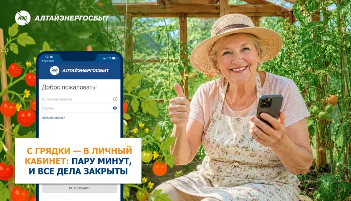 Алтайэнергосбыт напоминает о важности передачи показаний счётчиков в дачный сезон