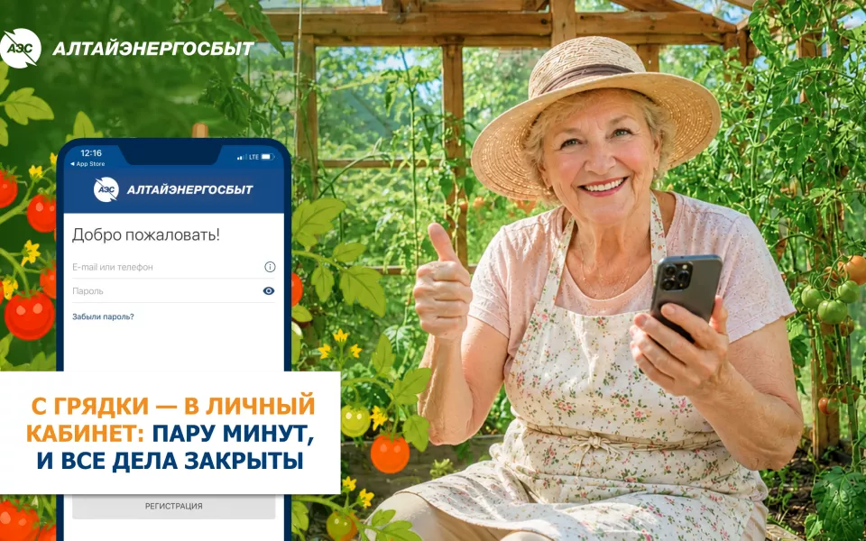 Алтайэнергосбыт напоминает о важности передачи показаний счётчиков в дачный сезон