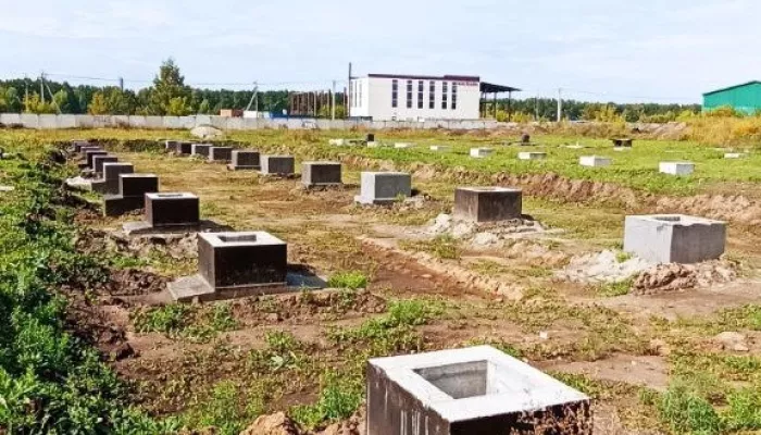 Пеньки за 23 миллиона: в Барнауле продают долгострой аграрного промышленника