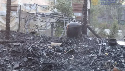 Семья с двумя детьми погибла в ночном пожаре в СНТ. Фото