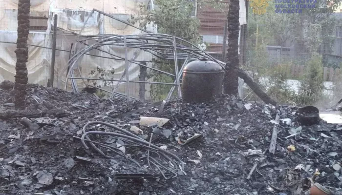 Семья с двумя детьми погибла в ночном пожаре в СНТ. Фото
